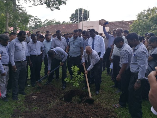 Commencement of Work & Special Sandalwood Tree Planting – 2020